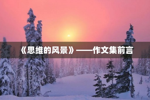 《思维的风景》——作文集前言