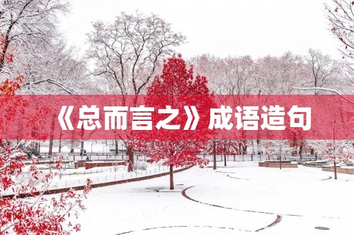 《总而言之》成语造句