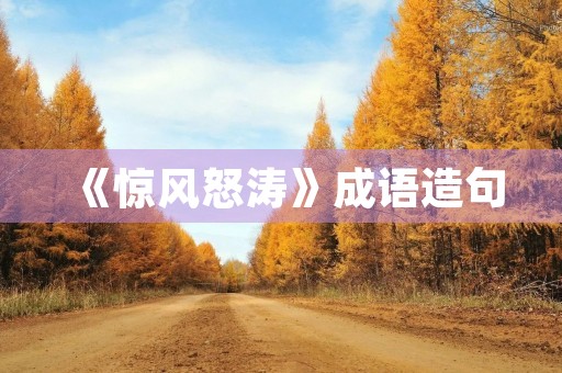 《惊风怒涛》成语造句 《惊风怒涛》成语造句