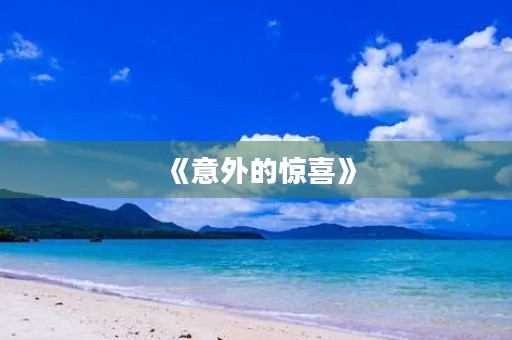 《意外的惊喜》 《意外的惊喜》