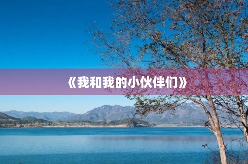 《我和我的小伙伴们》