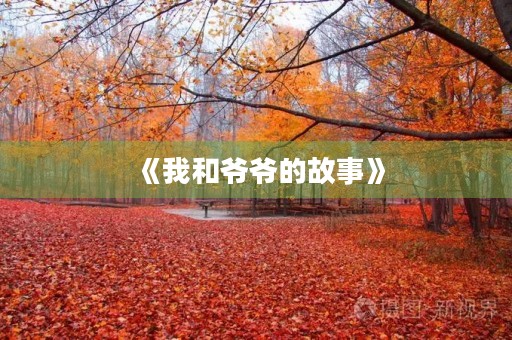 《我和爷爷的故事》 《我和爷爷的故事》
