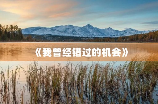 《我曾经错过的机会》 《我曾经错过的机会》