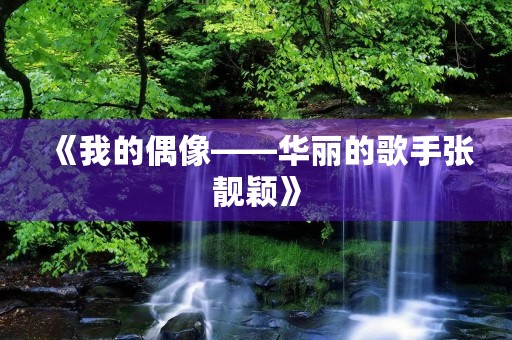 《我的偶像——华丽的歌手张靓颖》 《我的偶像——华丽的歌手张靓颖》
