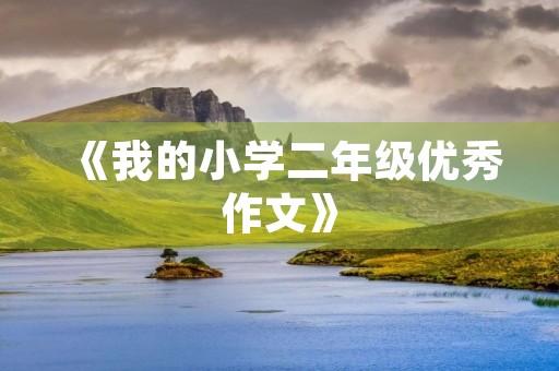 《我的小学二年级优秀作文》