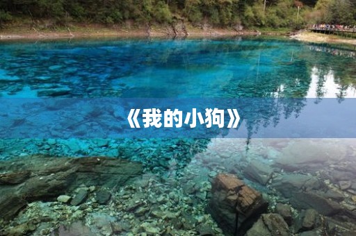 《我的小狗》 《我的小狗》