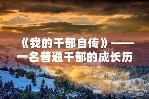 《我的干部自传》——一名普通干部的成长历程