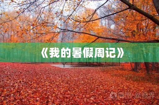 《我的暑假周记》 《我的暑假周记》