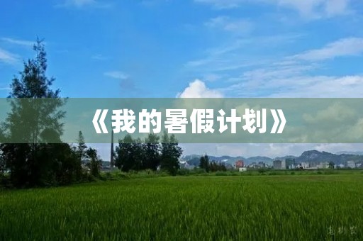 《我的暑假计划》