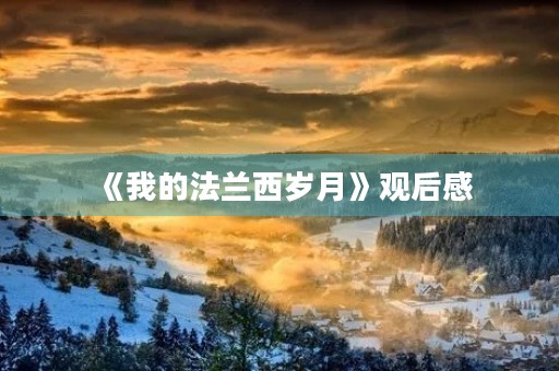 《我的法兰西岁月》观后感