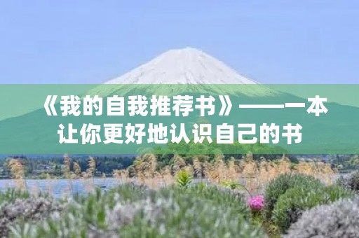 《我的自我推荐书》——一本让你更好地认识自己的书