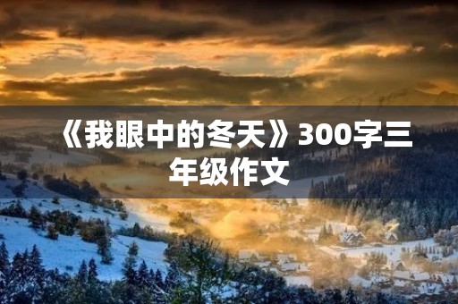 《我眼中的冬天》300字三年级作文
