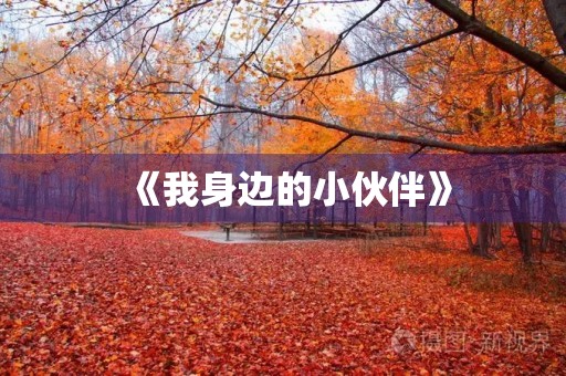 《我身边的小伙伴》