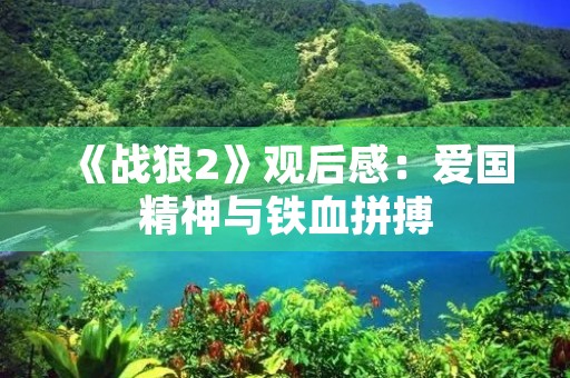 《战狼2》观后感：爱国精神与铁血拼搏