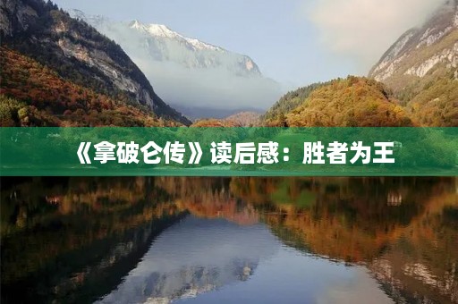 《拿破仑传》读后感：胜者为王，败者为寇