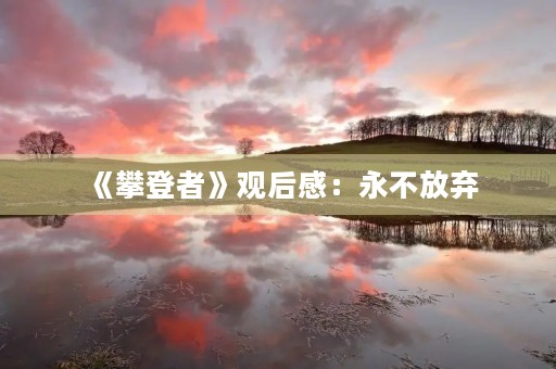 《攀登者》观后感:永不放弃,勇攀高峰 《攀登者》观后感:永不放弃,勇攀高峰