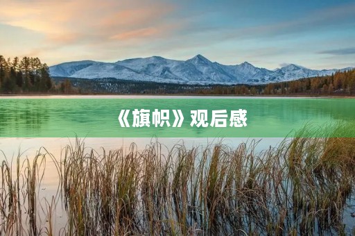 《旗帜》观后感 《旗帜》观后感
