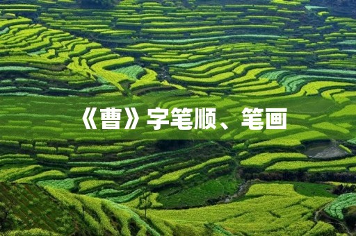 《曹》字笔顺、笔画(曹的笔顺)