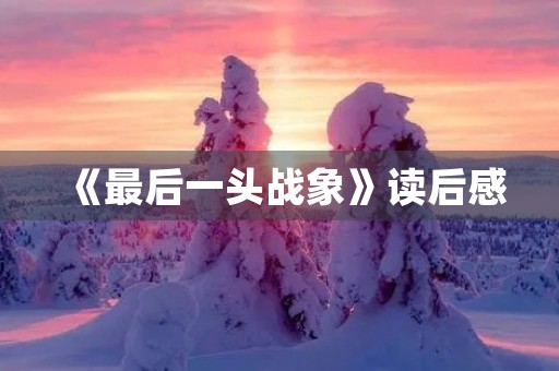 《最后一头战象》读后感 《最后一头战象》读后感