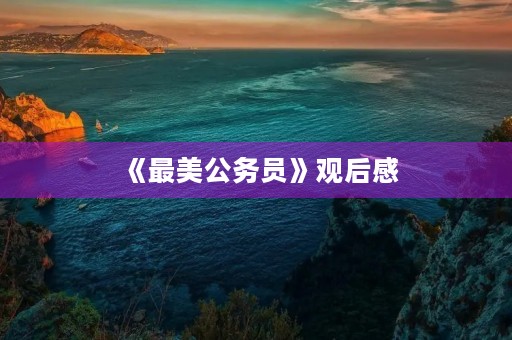 《最美公务员》观后感