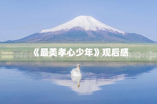 《最美孝心少年》观后感