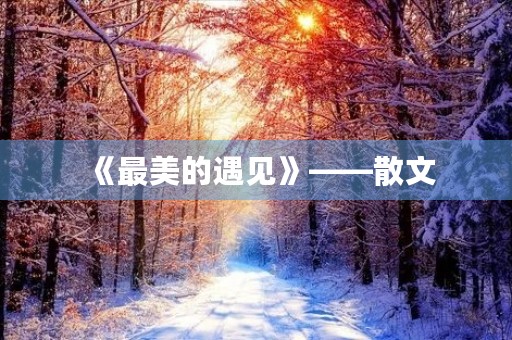 《最美的遇见》——散文 《最美的遇见》——散文