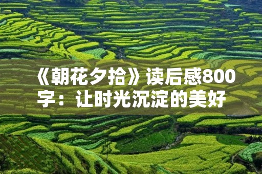 《朝花夕拾》读后感800字：让时光沉淀的美好