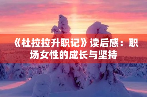 《杜拉拉升职记》读后感：职场女性的成长与坚持