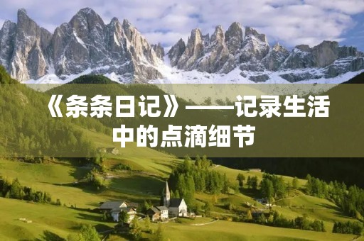 《条条日记》——记录生活中的点滴细节