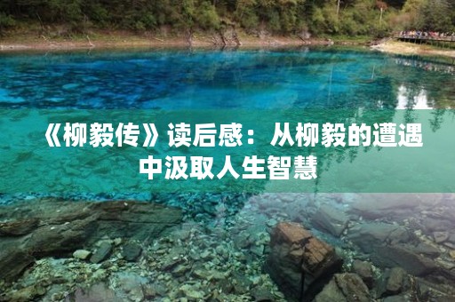 《柳毅传》读后感：从柳毅的遭遇中汲取人生智慧