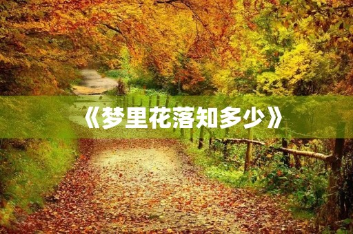《梦里花落知多少》