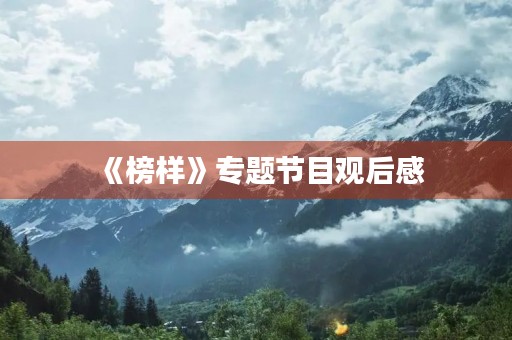 《榜样》专题节目观后感