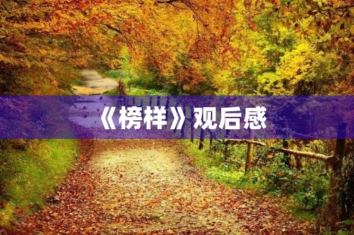 《榜样》观后感