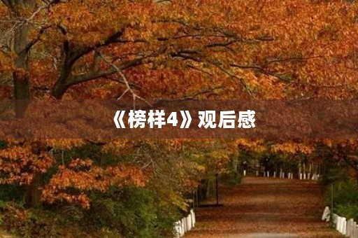 《榜样4》观后感 《榜样4》观后感