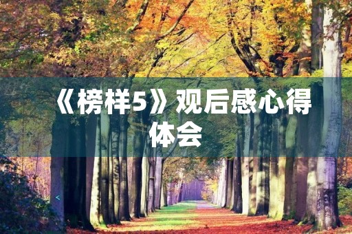 《榜样5》观后感心得体会
