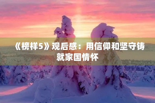 《榜样5》观后感:用信仰和坚守铸就家国情怀 《榜样5》观后感:用信仰和坚守铸就家国情怀