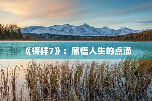 《榜样7》：感悟人生的点滴