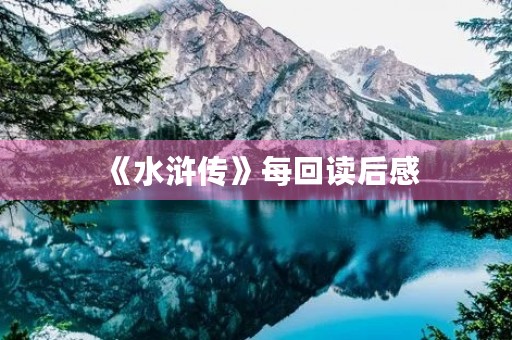 《水浒传》每回读后感