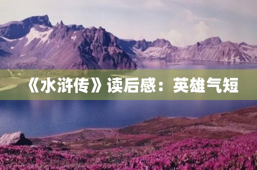 《水浒传》读后感：英雄气短，人性深刻