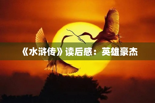 《水浒传》读后感:英雄豪杰,忠义之师 《水浒传》读后感:英雄豪杰,忠义之师