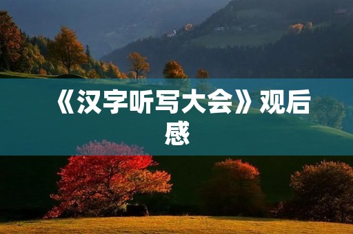 《汉字听写大会》观后感