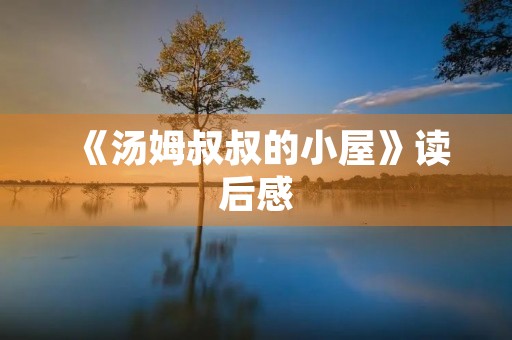 《汤姆叔叔的小屋》读后感