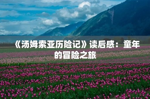 《汤姆索亚历险记》读后感:童年的冒险之旅 《汤姆索亚历险记》读后感:童年的冒险之旅