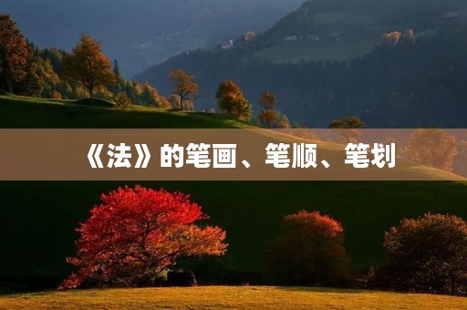 《法》的笔画、笔顺、笔划(法的笔顺)