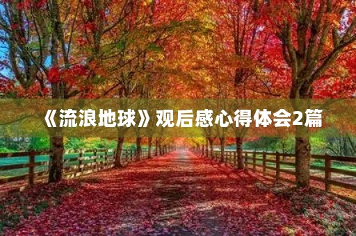 《流浪地球》观后感心得体会2篇