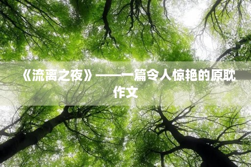 《流离之夜》——一篇令人惊艳的原耽作文 《流离之夜》——一篇令人惊艳的原耽作文
