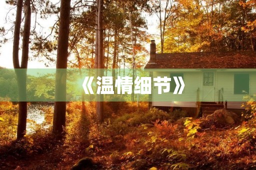 《温情细节》 《温情细节》