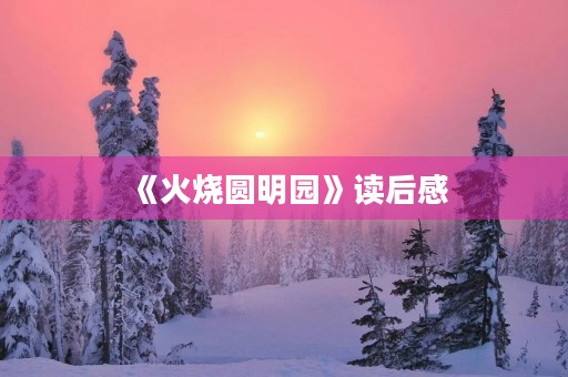 《火烧圆明园》读后感
