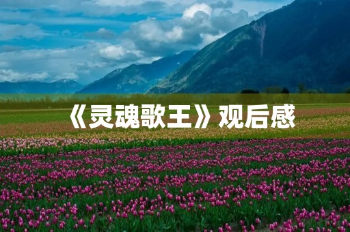 《灵魂歌王》观后感 《灵魂歌王》观后感
