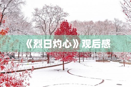 《烈日灼心》观后感